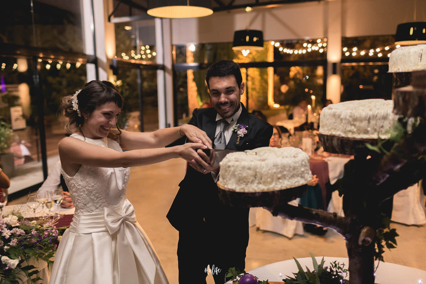 Fotografies i vídeo de boda