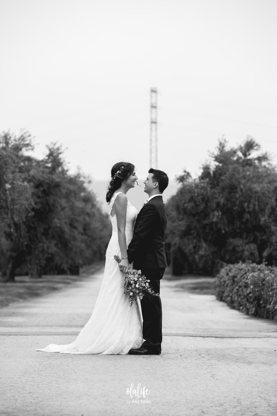Casament a La Boella